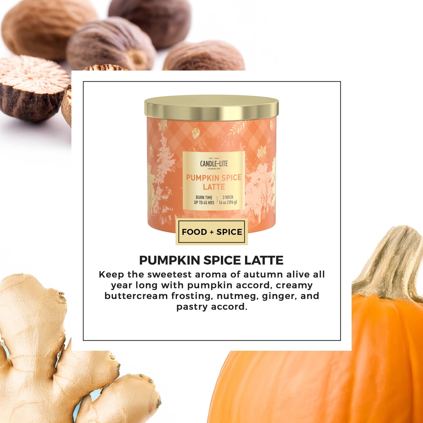 Candle-lite Halloween Scented Candles, Pumpkin Accord with Buttercream, 14 oz Jar, 45 Hour Burn, Fall Scented Candle for Home Decor, 3-Wick, Proudly Poured in USA, Halloween Candle Decoration