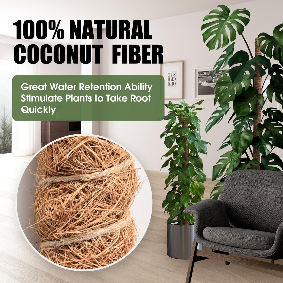 Skiennix 63-Inch Bendable Moss Pole - Handmade Coco Coir Support for Climbing Plants
