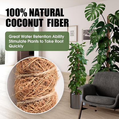 Skiennix 63-Inch Bendable Moss Pole - Handmade Coco Coir Support for Climbing Plants