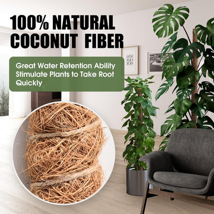 2 Pack Moss Pole, 63 Inch Bendable Moss Poles for Plants Monstera Long for Climbing Plants, Extra Large Handmade Pole Plant Sticks Support Stakes for Indoor Plants to Grow Upwards