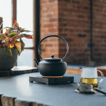 BALMUDA Combo Pack: MoonKettle Black & The Lantern White | Electric Kettle with Temp Control & Rechargeable LED Lantern