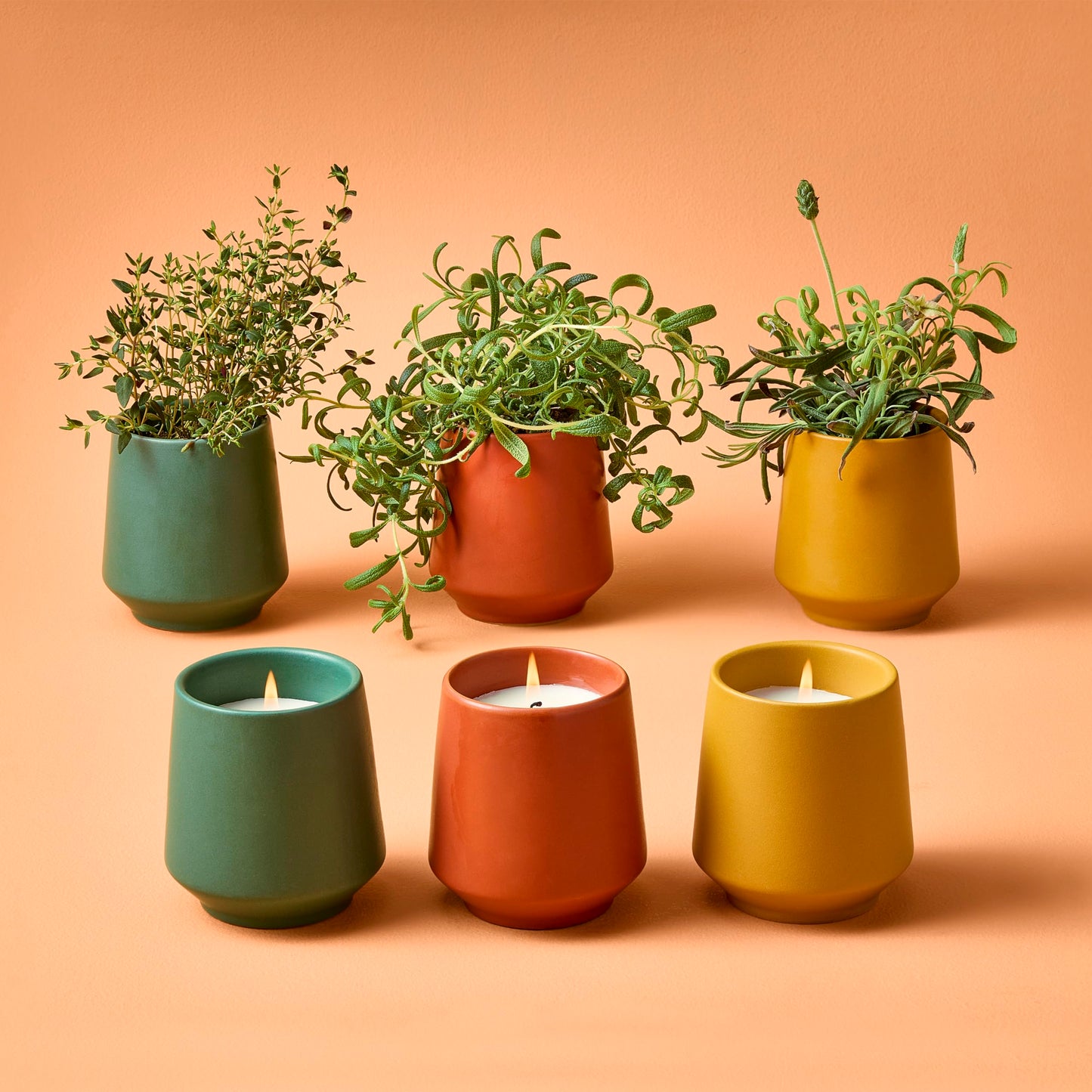 Modern Sprout - 2 in 1 Scented Candles with Seeds that Grows into Plants - 6 oz Soy Candle with 42 hr Burn time in Matte Glaze Ceramic Vessel - Rosemary, Thyme, & Lavender - Pack of 3