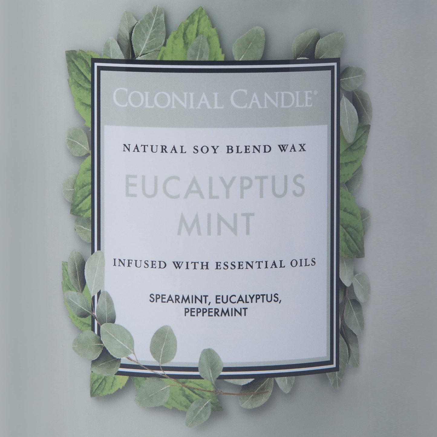 Colonial Candle Eucalyptus Mint Scented Jar Candle, Classic Cylinders Collection, 2 Wick, Green, 19 oz - Up to 120 Hours Burn