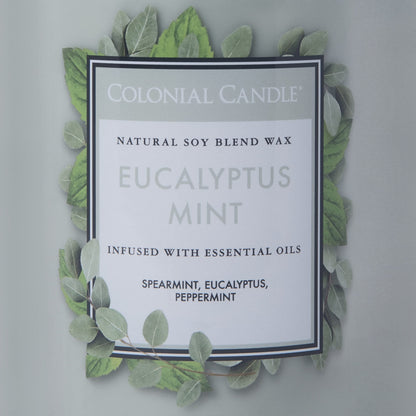 Colonial Candle Eucalyptus Mint Scented Jar Candle, Classic Cylinders Collection, 2 Wick, Green, 19 oz - Up to 120 Hours Burn