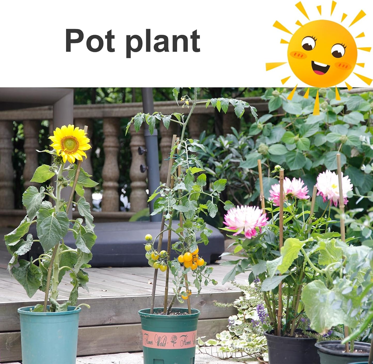 Bamboo Stakes - Eco-Friendly Plant Support Poles for Tomatoes, Beans & Flowers | 50-Pack, 4.8FT Height