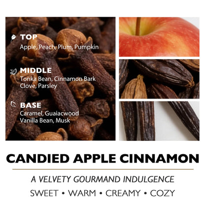 HomeLights Large jar Candle | 4-Wick Long-Lasting Scented Candles, 18oz Natural Soy Wax Candle for Home Scented, Rustic Modern Gifts for Women & Men, Candied Apple Cinnamon