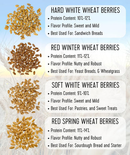 Palouse Brand Certified Glyphosate Residue Free Hard White, Soft White, Red Spring and Winter Wheat Berries | 20 LBS | Non-GMO Project Verified | Kosher (4-5 lb bags each)