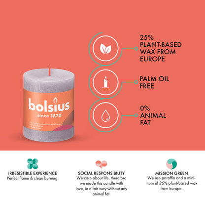 BOLSIUS 4 Pack Frosted Lavender Rustic Pillar Candles - 2.75 X 3.25 inches - Premium European Quality - Includes Natural Plant-Based Wax - Unscented Dripless Smokeless 35 Hour Party Décor Candles
