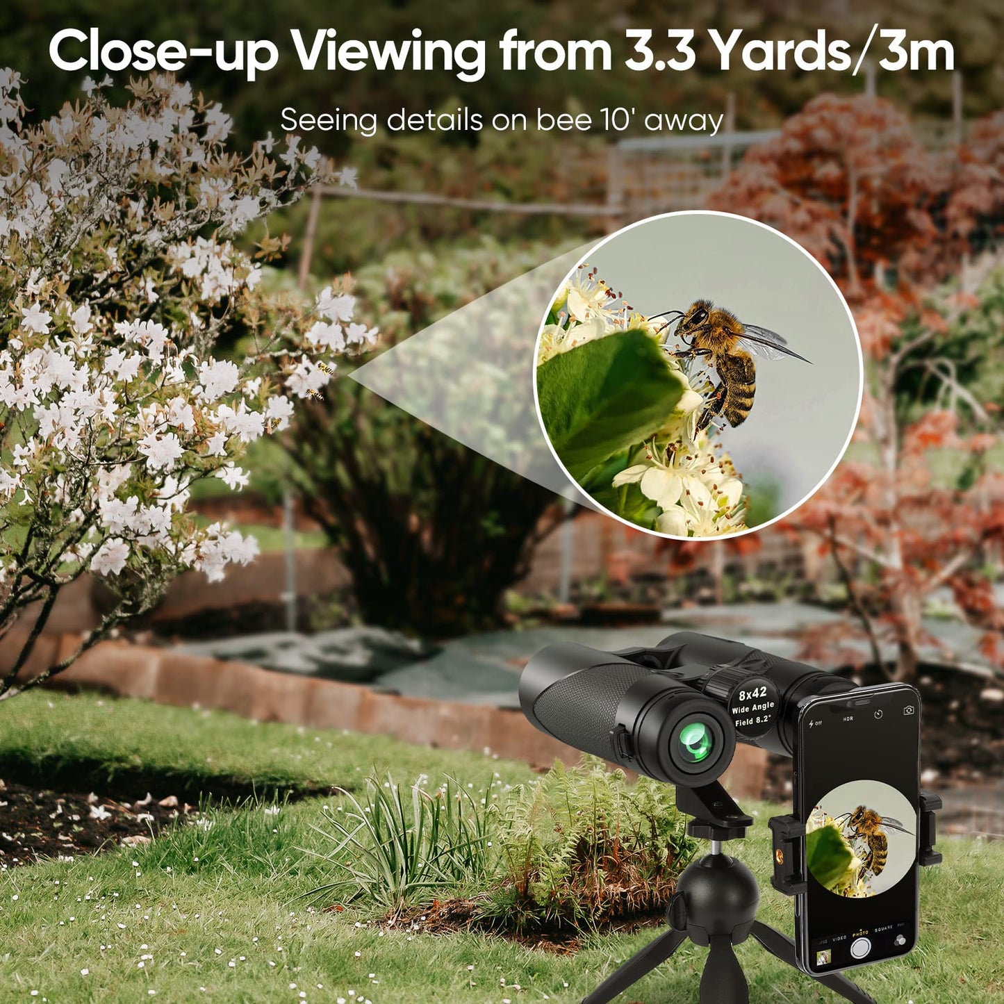 Binoculars for Adults Bird Watching - Timorn HD 8x42 Birding Binocular for Adult High Powered with Phone Adapter Tripod - Waterproof Lightweight Binocular for Travel, Sports, Hiking
