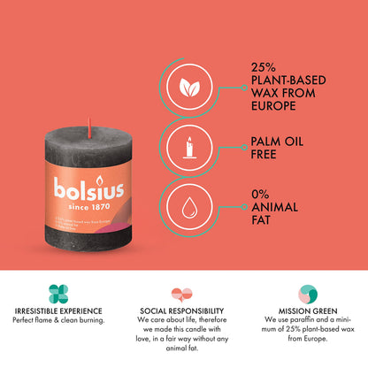 BOLSIUS 4 Pack Black (Stormy Gray) Rustic Pillar Candles - 2.75 X 3.25 Inches - Premium European Quality - Includes Natural Plant-Based Wax - Unscented Dripless Smokeless 35 Hour Spa Décor Candles