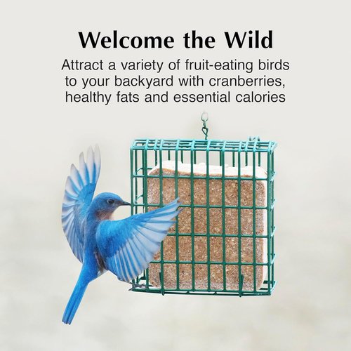 C&S Cranberry Delight Suet Cakes - No Melt Formula for Wild Birds | 8 Pack, Perfect for Robins & Blue Jays