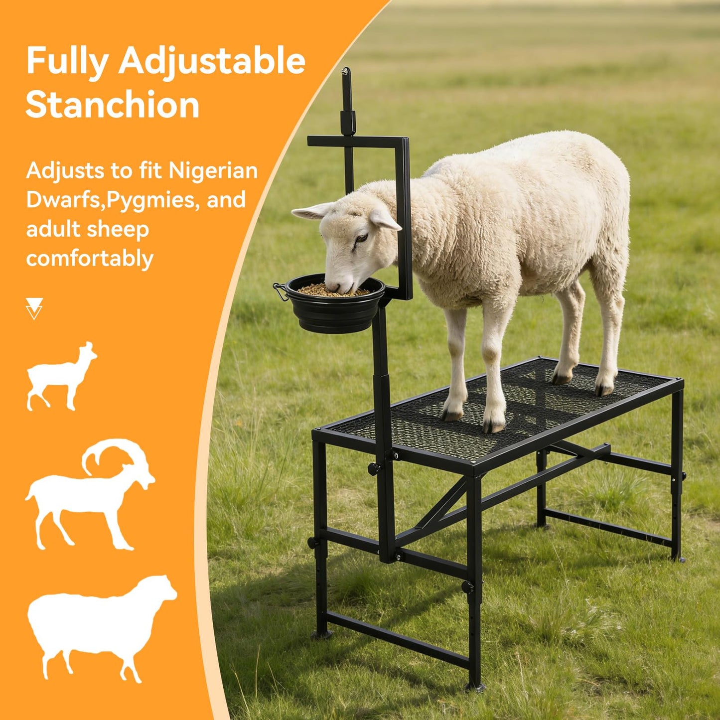 FULUPET Goat Milking Stand with Feed Bin, 600 LBS Heavy Duty Sheep Trimming Stand, Adjustable Headpiece Livestock Stanchion, Stable Metal Hoof Trimming Platform for Grooming & Shearing, Farm Equipment