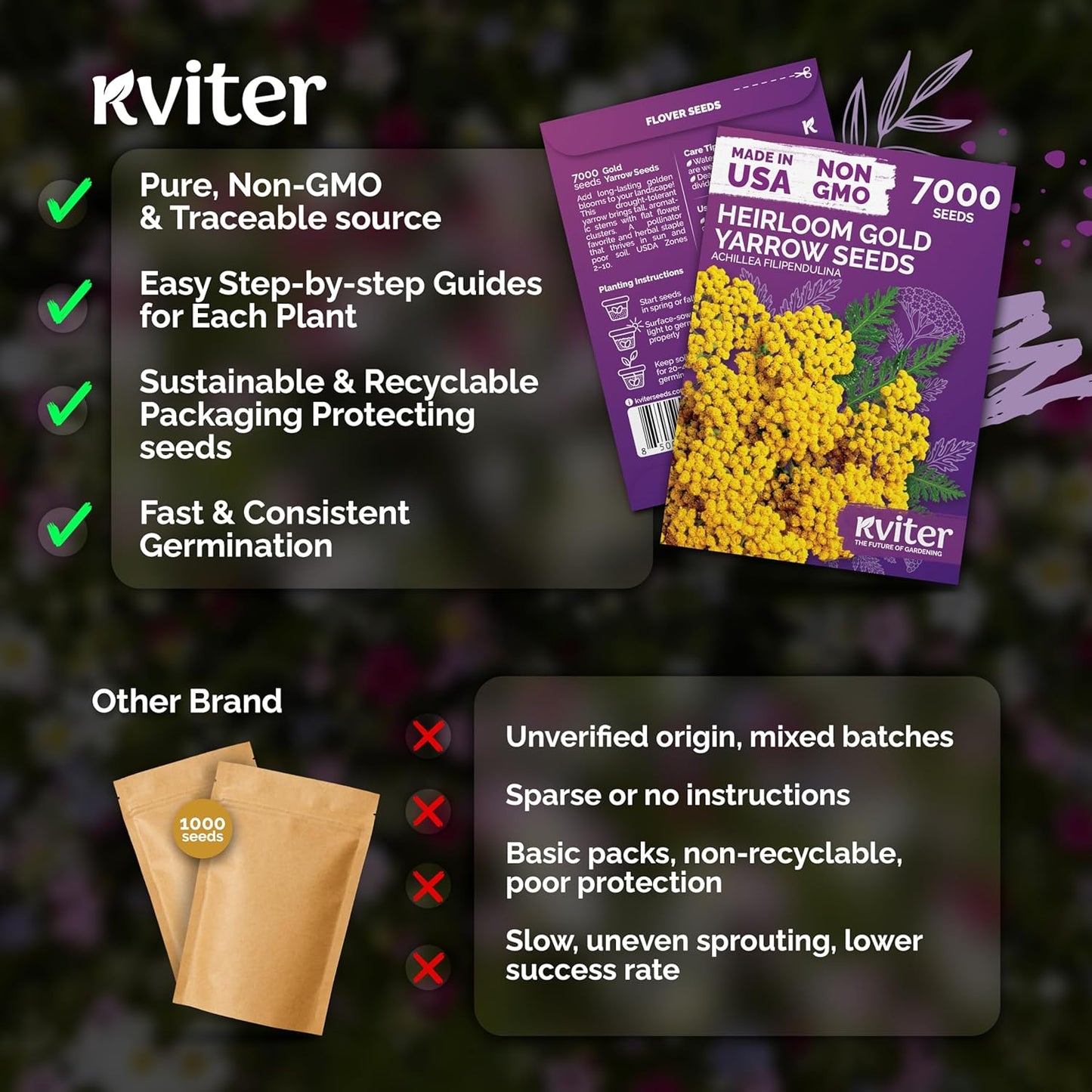 KVITER 7000 Gold Yarrow Seeds - Heirloom Organic Perennial Flower Seeds for Gardens & Meadows