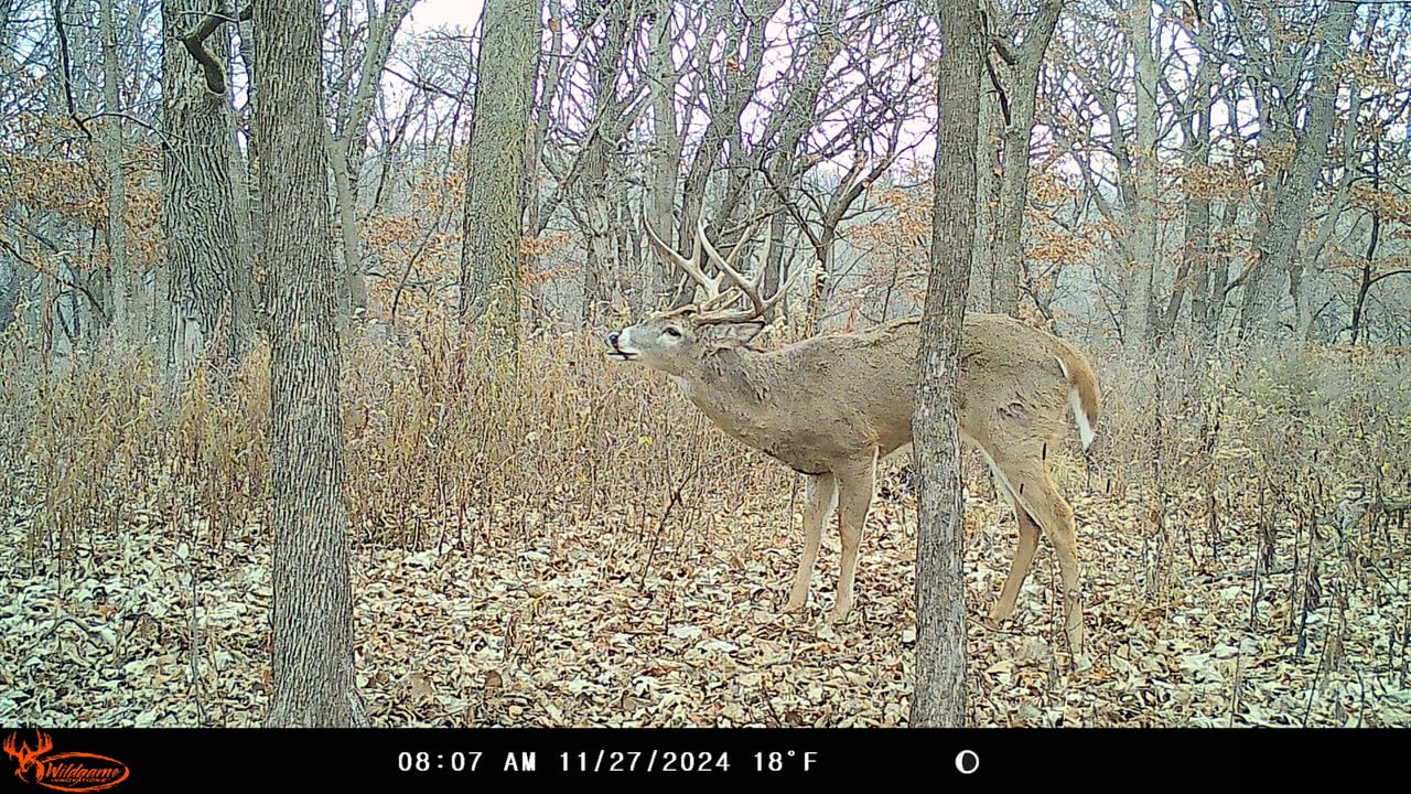 Wildgame Innovations WGI Insite-V 4-Pack Cellular Trail Camera 32 MP, 80ft Detection