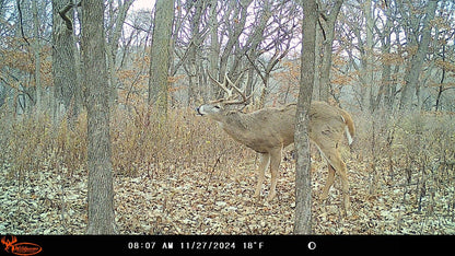 Wildgame Innovations WGI Insite-V 4-Pack Cellular Trail Camera 32 MP, 80ft Detection