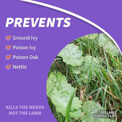 Bonide Poison Oak & Ivy Killer - Fast-Acting 32 oz Ready-to-Use Spray for Effective Home Gardening