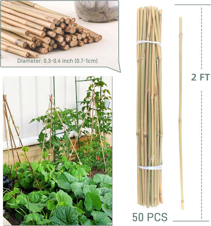 Bamboo Plant Stakes - 50 Pcs 2ft Garden Support Sticks for Indoor/Outdoor Plants | Ideal for Tomatoes & Climbing Plants