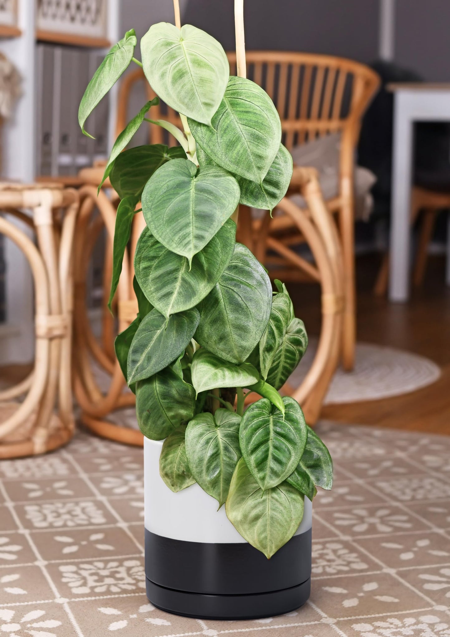 D'vine Dev 10 Inch Ceramic Planter Pot with Drainage Hole and Saucer, Indoor Cylinder Round Planter Pot, Layered Monochrome Black & White, 94-O-E-L
