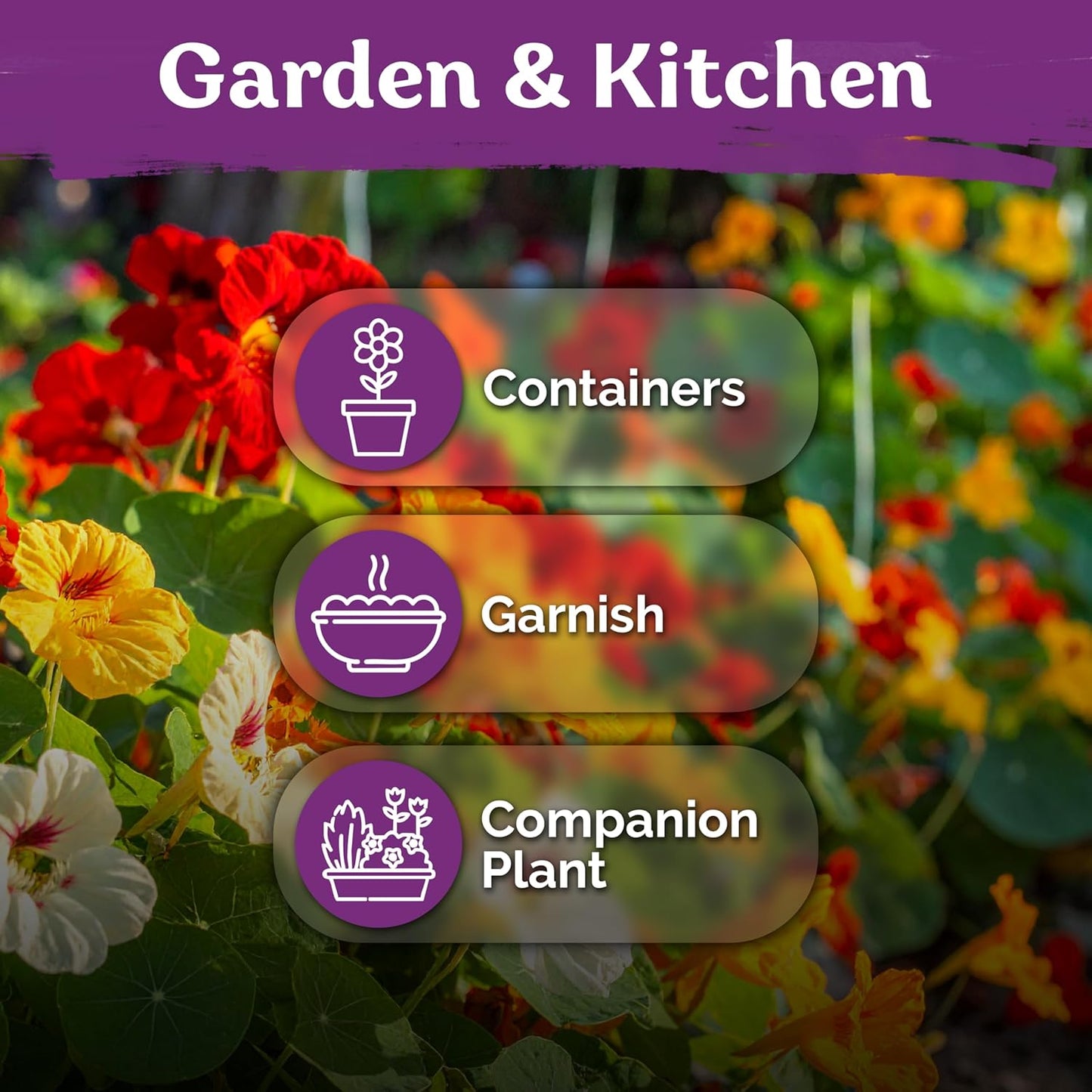 KVITER 75 Mix Jewel Nasturtium Seeds - Heirloom Organic Edible Flower Seeds for Garden & Containers