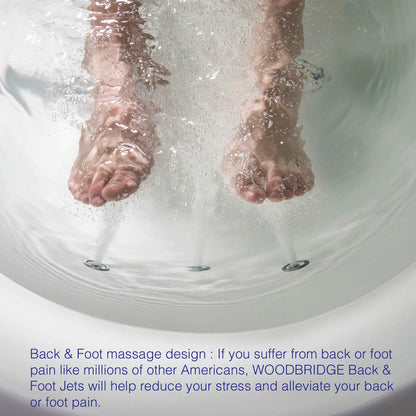 WOODBRIDGE 67" Air Bubble and Whirlpool Jetted Freestanding Bathtub B0030 / BTS1606