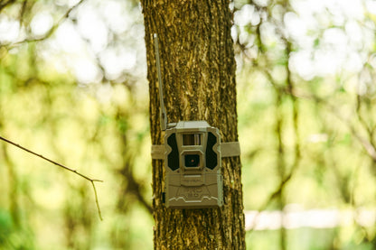 TACTACAM Reveal Pro 3.0 Cellular Trail Camera – Auto Connect 4G LTE, 4K Photos, No-Glow IR Flash, Extended Battery, Built-in GPS, On-Demand Video, Best Hunting & Property Camera