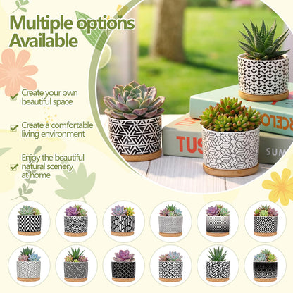 Threehoney 12 Pack 3.14 Inch Ceramic Succulent Pots Geometric Pattern Small Succulent Plant Pots with Drainage Hole and Bamboo Trays Mini Flower Cylinder Pot for Small Plant Cactus Home Office Decor