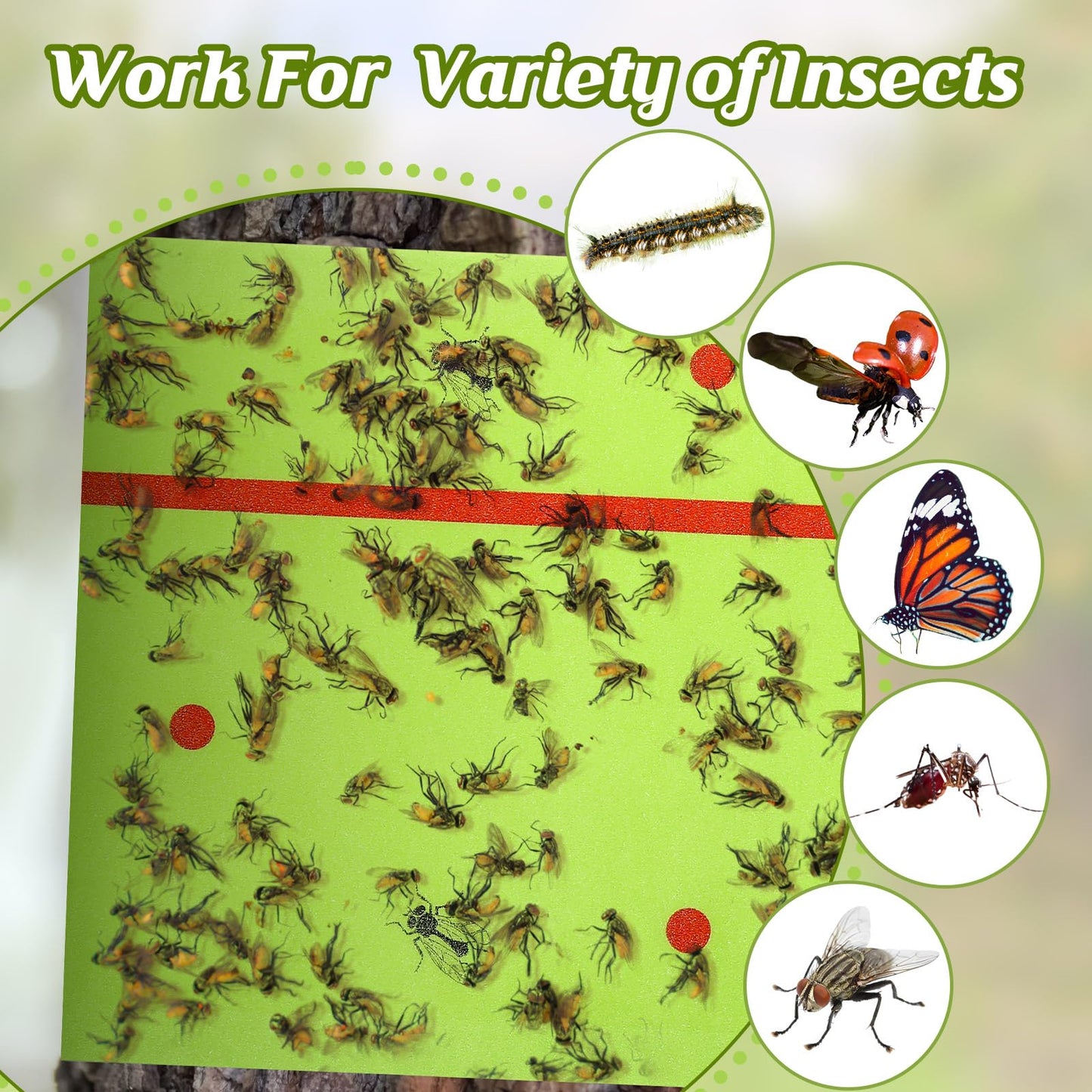 Qualirey 50 Rolls Spotted Lantern Fly Traps 30 Feet Each Roll Fly Tree Trap Sticky Strips Outdoor Fruit Glue Strips Disposable Tape Indoor Paper Sheets for Protecting Trees (Green)