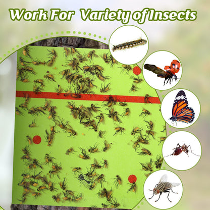 Qualirey 50 Rolls Spotted Lantern Fly Traps 30 Feet Each Roll Fly Tree Trap Sticky Strips Outdoor Fruit Glue Strips Disposable Tape Indoor Paper Sheets for Protecting Trees (Green)