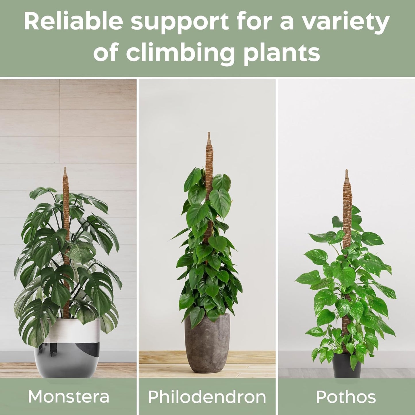 K-Brands 3 Pack Bendable Moss Pole - 48'' & 28'' Monstera Plant Support for Indoor Climbing Plants