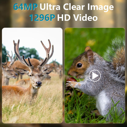 Acuxiaza 2 Pack Trail Camera 64MP 1296P Game Camera with 940nm No Glow Night Vision Fast 0.3s Trigger Speed Motion Activated IP66 Waterproof for Wildlife Cam, Hunting, H.264 MP4 Video