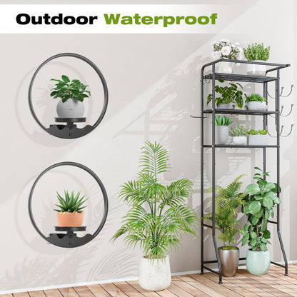 Aunulahca Round Picture Frame Wall Plant Holder Black Wall Hanging Planters Metal Window Plants Shelf Plant for Indoor Outdoor Garden Rockery Decoration 2 Pack