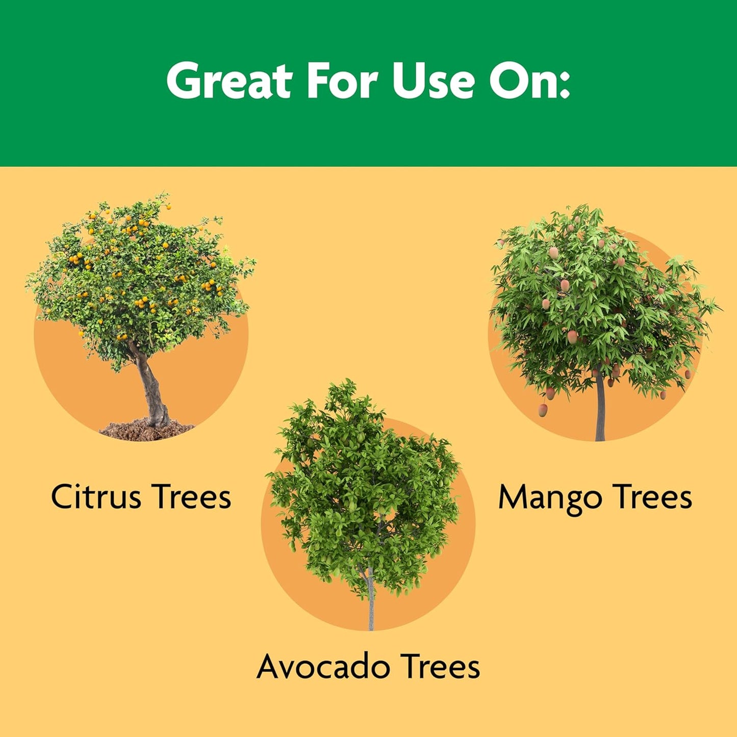 Miracle-Gro Shake 'N Feed Plant Food - Nourishing Citrus, Avocado & Mango Trees | 4.5 lbs