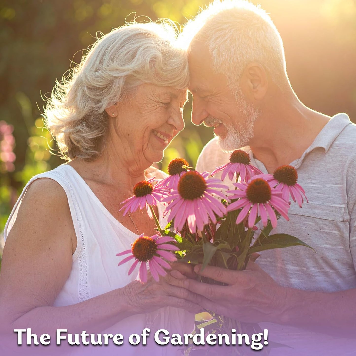 KVITER 550 Purple Coneflower Seeds | Echinacea Purpurea Herb Flower Seeds for Medicinal Gardens - Pollinator-Friendly