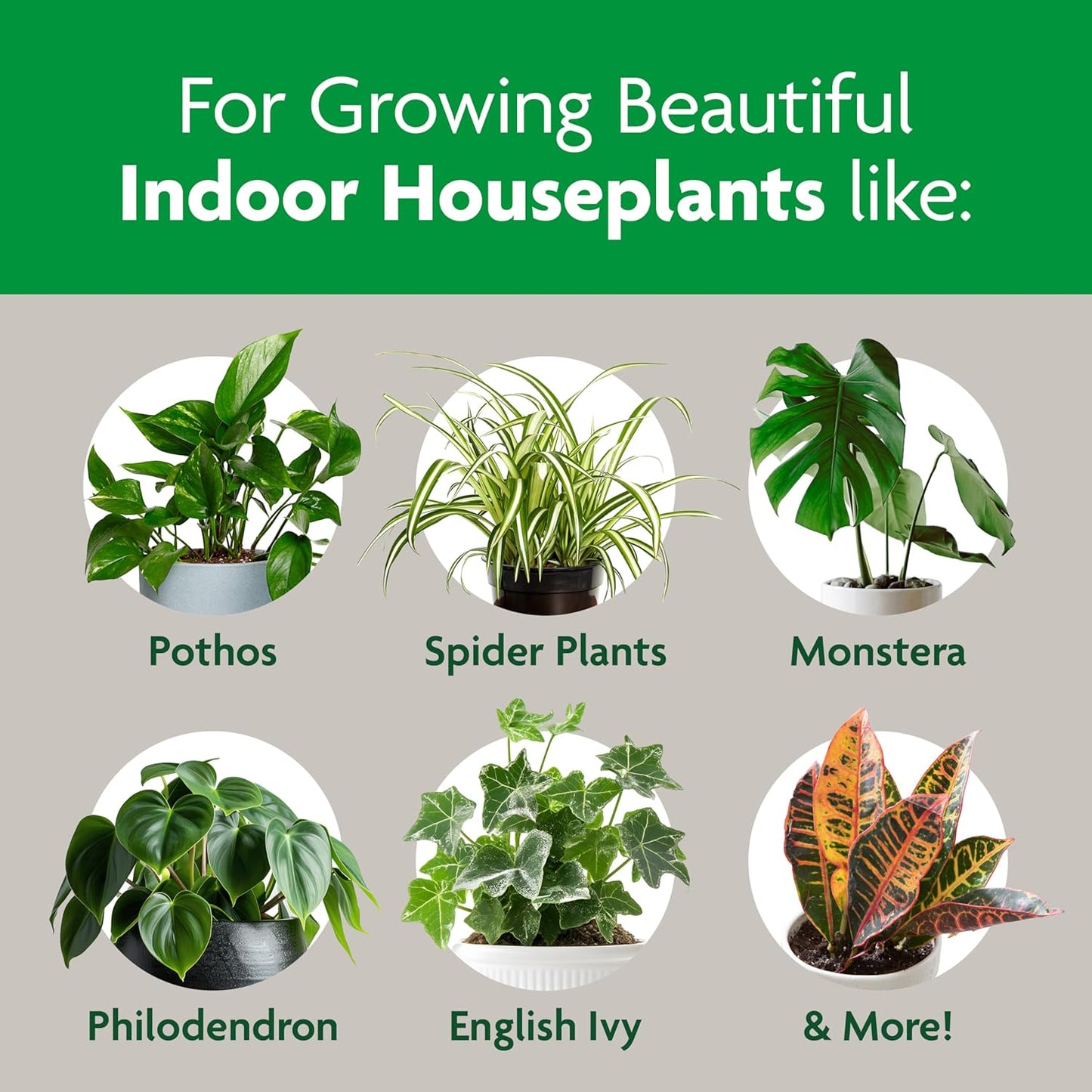Miracle-Gro Indoor Potting Mix - Nutrient-Rich Blend for Houseplants | 6 Qt. | 2-Pack