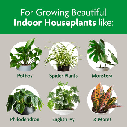 Miracle-Gro Indoor Potting Mix - Nutrient-Rich Blend for Houseplants | 6 Qt. | 2-Pack