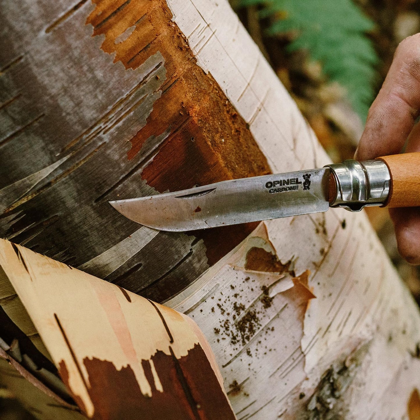 Opinel No. 06 Carbone - Carbon Steel Folding Pocket Knife, Beechwood Handle, 2.87 in. Blade, Virobloc Safety Locking Collar, Made in France