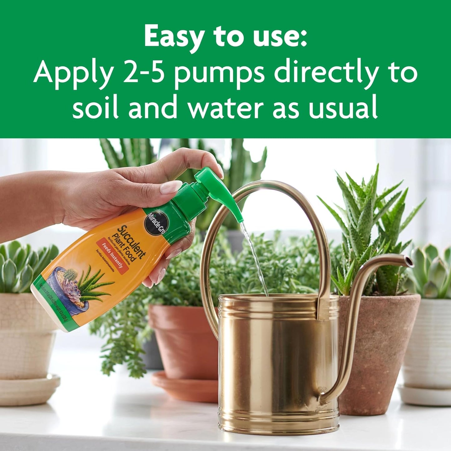 Miracle-Gro Succulent Plant Food - Liquid Fertilizer for Jade & Aloe - 8 fl. oz. (2 Pack) | Feed Every 2 Weeks