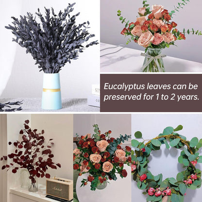 Dried Eucalyptus Leaves Real Preserved Stems, Fresh Eucalyptus Garland Branches for Shower, Dried Plant Live Bundle Purple Leaves for Wedding Wreath Party Home Fragrance Vase Décor