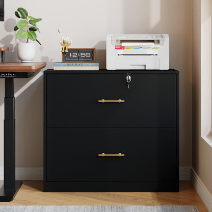 GFGWXW 2 Drawer Lateral File Cabinet with Lock, Suitable for Letter/A4/F4/Legal Size Hanging Files,Large Wood Filing Storage Cabinets Printer Stand for Home Office,Black