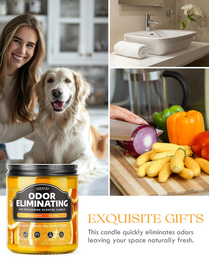 AOOVOO Citrus Lemon Odor Eliminating Highly Fragranced Candle - Eliminates 95% of Pet, Smoke, Food, and Other Smells Quickly, Non Toxic Air Freshing Soy Candle, 9 oz Up to 50 Hours Burn time