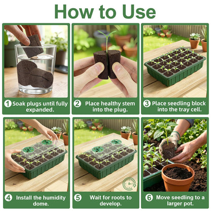 Grow Sponges with Tray, 24 Pack Seed Starter Pods & Starter Plugs for Cuttings, Hydroponic Grow Sponges for Seed Starting, Plant Plugs for Herbs Vegetables Flowers, Easy Transplant Rooter Pods