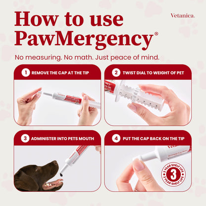 Vetanica PawMergency – Activated Charcoal First Aid Kit Emergency Rescue 5 Pack for Dogs, Cats, Puppy & Pet Poison Kit, Camping Survival Remedy Essential, Oral Anti Diarrhea Digestive Absorb Toxins