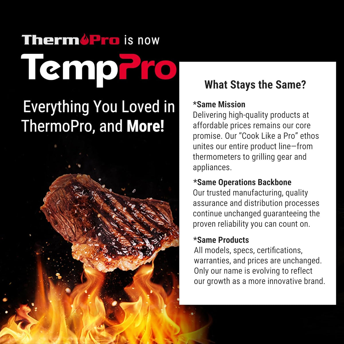 TempPro Digital Food Thermometer - Super Long Probe for Cooking, Baking & BBQ | 2 Pack