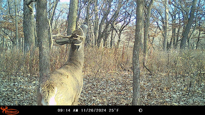Wildgame Innovations WGI Insite-V 4-Pack Cellular Trail Camera 32 MP, 80ft Detection
