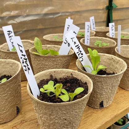 Dalzom® Biodegradable Peat Pots - 60Pcs 3.1” Seedling Containers with Drainage Holes & Labels