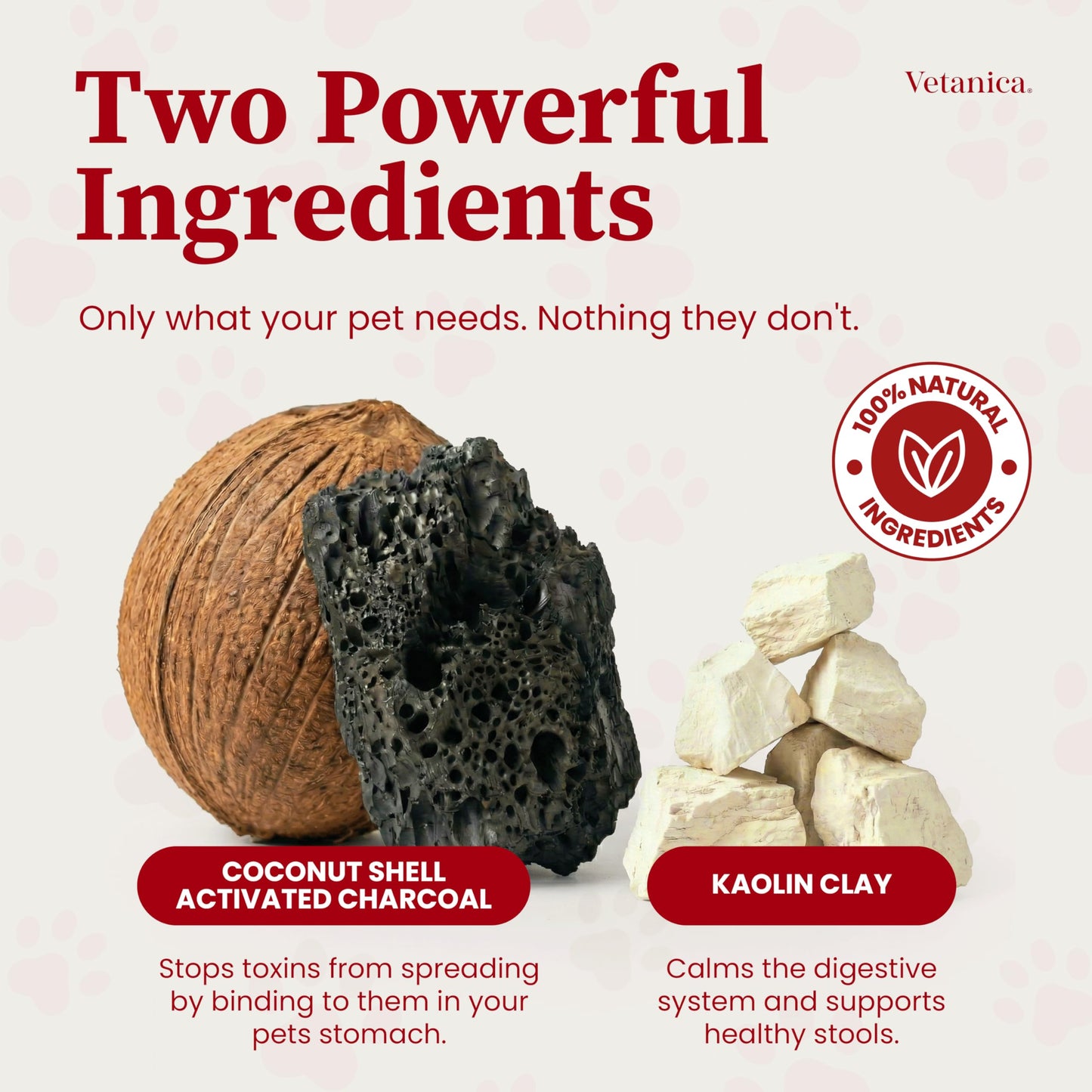 Vetanica PawMergency – Activated Charcoal First Aid Kit Emergency Rescue 5 Pack for Dogs, Cats, Puppy & Pet Poison Kit, Camping Survival Remedy Essential, Oral Anti Diarrhea Digestive Absorb Toxins