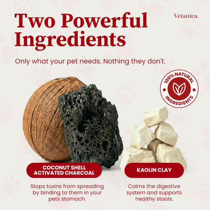 Vetanica PawMergency – Activated Charcoal First Aid Kit Emergency Rescue 5 Pack for Dogs, Cats, Puppy & Pet Poison Kit, Camping Survival Remedy Essential, Oral Anti Diarrhea Digestive Absorb Toxins