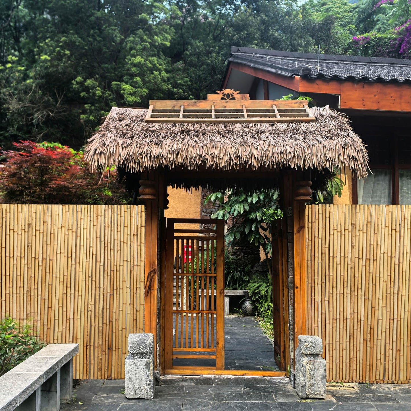 6ft x 8ft Natural Bamboo Fence Roll, Outside Bamboo Privacy Fencing, Natural Privacy Screen Panels for Garden, Outdoor