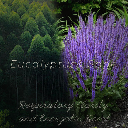 Eucalyptus & Sage Soy Scented Candles for Home- 6.3oz 42H Natural Soy Wax Aromatherapy Jar Candle with Strong Scent, Decorative Aesthetic Candles for Relax, Meditation, Bathroom, Luxury Gift for Women