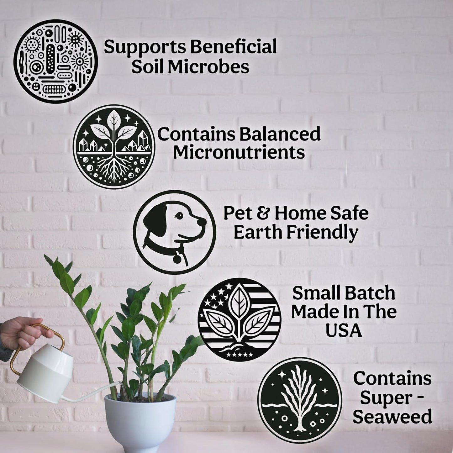Skiennix Organic Liquid Indoor Plant Food - All-Purpose Fertilizer with Sea Kelp | 12oz Treats 75 Gallons